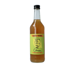Saru Soda Siroop citroen bio demeter 500 Milliliter