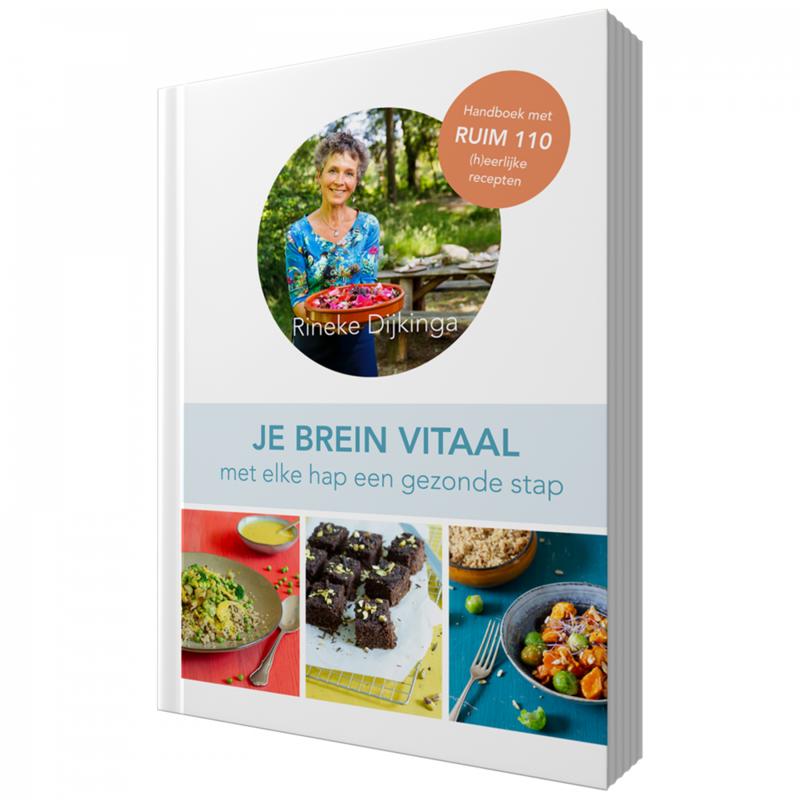 Rineke Books Je brein vitaal 1 Boek