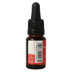 Ladrome Charme hornbeam bio 10 Milliliter