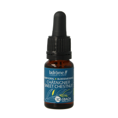 Ladrome Sweet chestnut / tamme kastanje bio 10 Milliliter