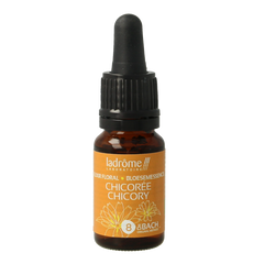 Ladrome Chicoree chicory bio 10 Milliliter