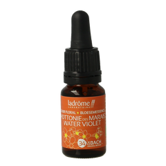 Ladrome Water violet bio 10 Milliliter