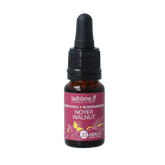 Ladrome Bloemessence walnut bio 10 Milliliter