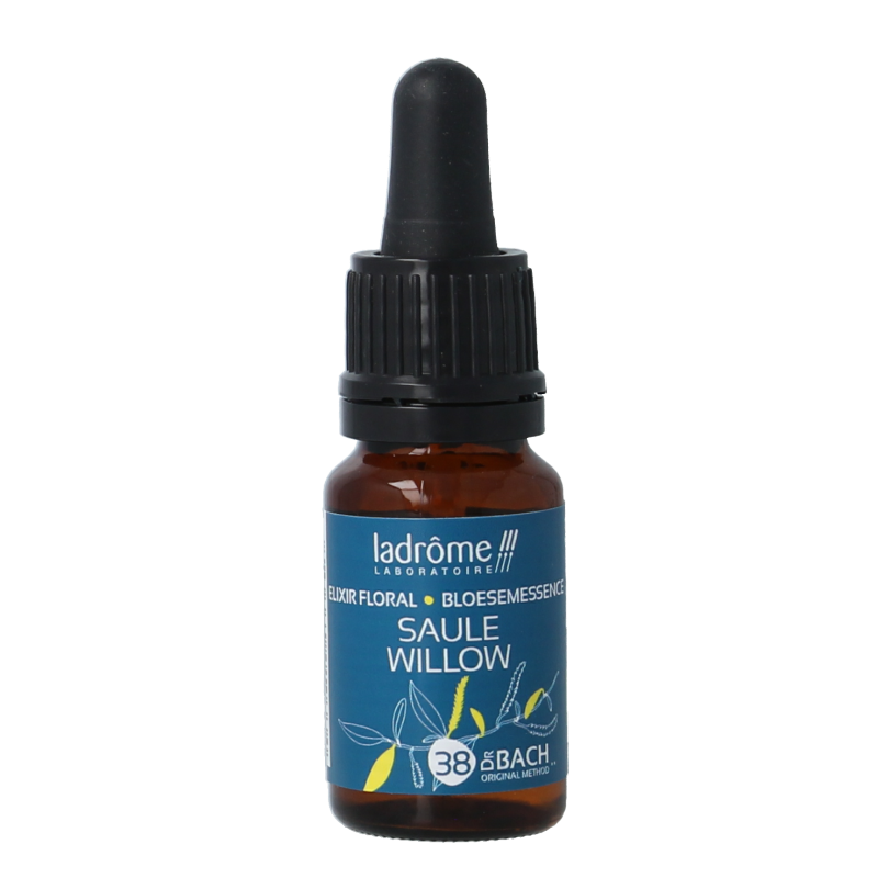 Ladrome Willow bio 10.00 Milliliter