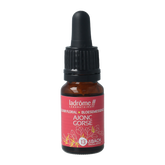 Ladrome Gorse bio 10 Milliliter