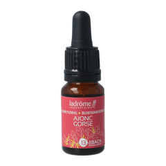 Ladrome Gorse bio 10.00 Milliliter