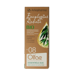 Olfae Eucalyptus radiata 08 bio 10 Milliliter