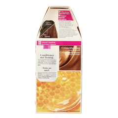 Casting Casting creme gloss 415 Iced chestnut 1 Set