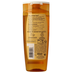 Elvive Shampoo extraordinary oil kokos 250 Milliliter