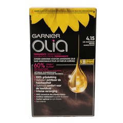 Garnier Olia 4.15 ijs kastanje bruin 1 Set