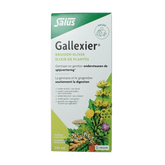 Salus Artisjok gallexier 250 Milliliter