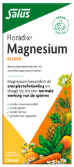 Salus Floradix magnesium 250 Milliliter