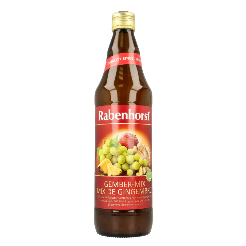 Rabenhorst Ginger mix bio 750 Milliliter