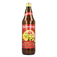 Rabenhorst Ginger mix bio 750 Milliliter