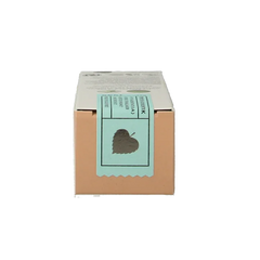 Borlind Creme pastell tinted hydrating day cream apricot 30 Milliliter