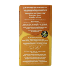 Yogi Tea Himalaya bio 17 Zakjes