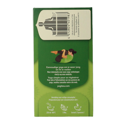 Yogi Tea Green jasmine bio 17 Zakjes