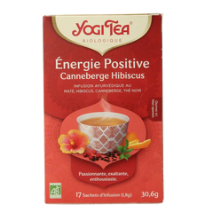 Yogi Tea Positive energy bio 17 Zakjes