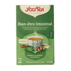 Yogi Tea Natural balance bio 17.00 Zakjes