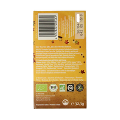 Yogi Tea Pumpkin chai bio 17 Zakjes