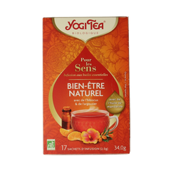 Yogi Tea For the sence natural wellness bio 17 Zakjes
