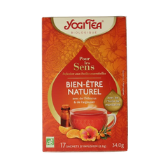 Yogi Tea For the sence natural wellness bio 17 Zakjes