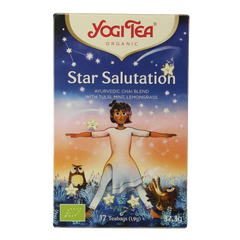 Yogi Tea Star salutation bio 17 Zakjes