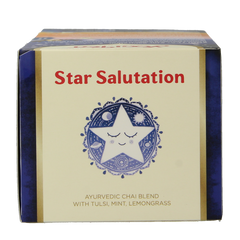 Yogi Tea Star salutation bio 17 Zakjes