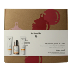 Dr. Hauschka Rozenritueel giftset Kerst 1 Set