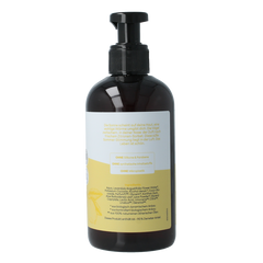 Baldini Handzeep citrus 250 Milliliter