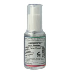 Lichtwesen Lady nada tinctuur 12 30.00 Milliliter