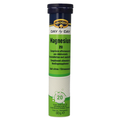 Kruger Magnesium bruistablet 20.00 Stuks