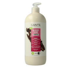 Sante Shampoo glossy shine 950 Milliliter
