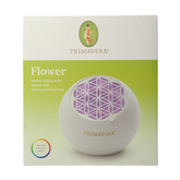 Primavera Aroma fan flower 1 Stuks