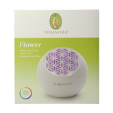 Primavera Aroma fan flower 1.00 Stuks