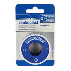 Leukoplast Hechtpleister Eurolock 5m x 2.50cm 1 Stuks