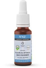 Bach Bloesem Bach bloesems mengeling 42 vertrouwen bio 20 Milliliter