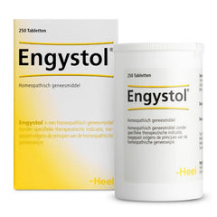Heel Engystol 250.00 Tabletten