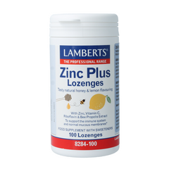Lamberts Zink (zinc) plus 100.00 Zuigtabletten