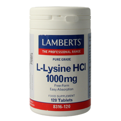Lamberts L-Lysine 1000mg 120.00 Tabletten