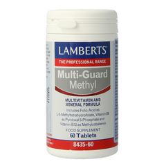 Lamberts Multi-Guard methyl 60.00 Tabletten