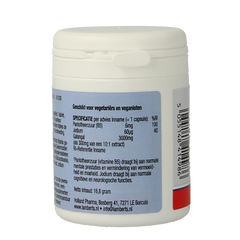 Lamberts Cogni-focus 30 Capsules