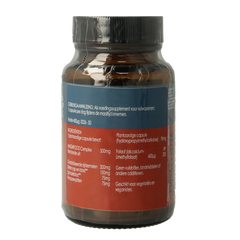 Terranova Folaat 400mcg complex 50.00 Vegetarische capsules
