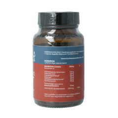 Terranova Vitamine B12 500mcg methylcobalamine 50 Vegetarische capsules