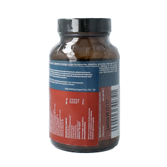 Terranova Spijsvertering plus 100 Capsules