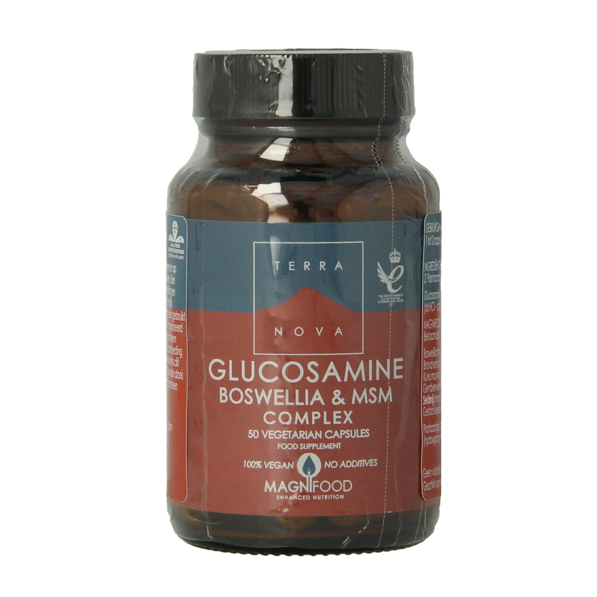 Terranova Glucosamine boswellia & MSM complex 50.00 Vegetarische capsules