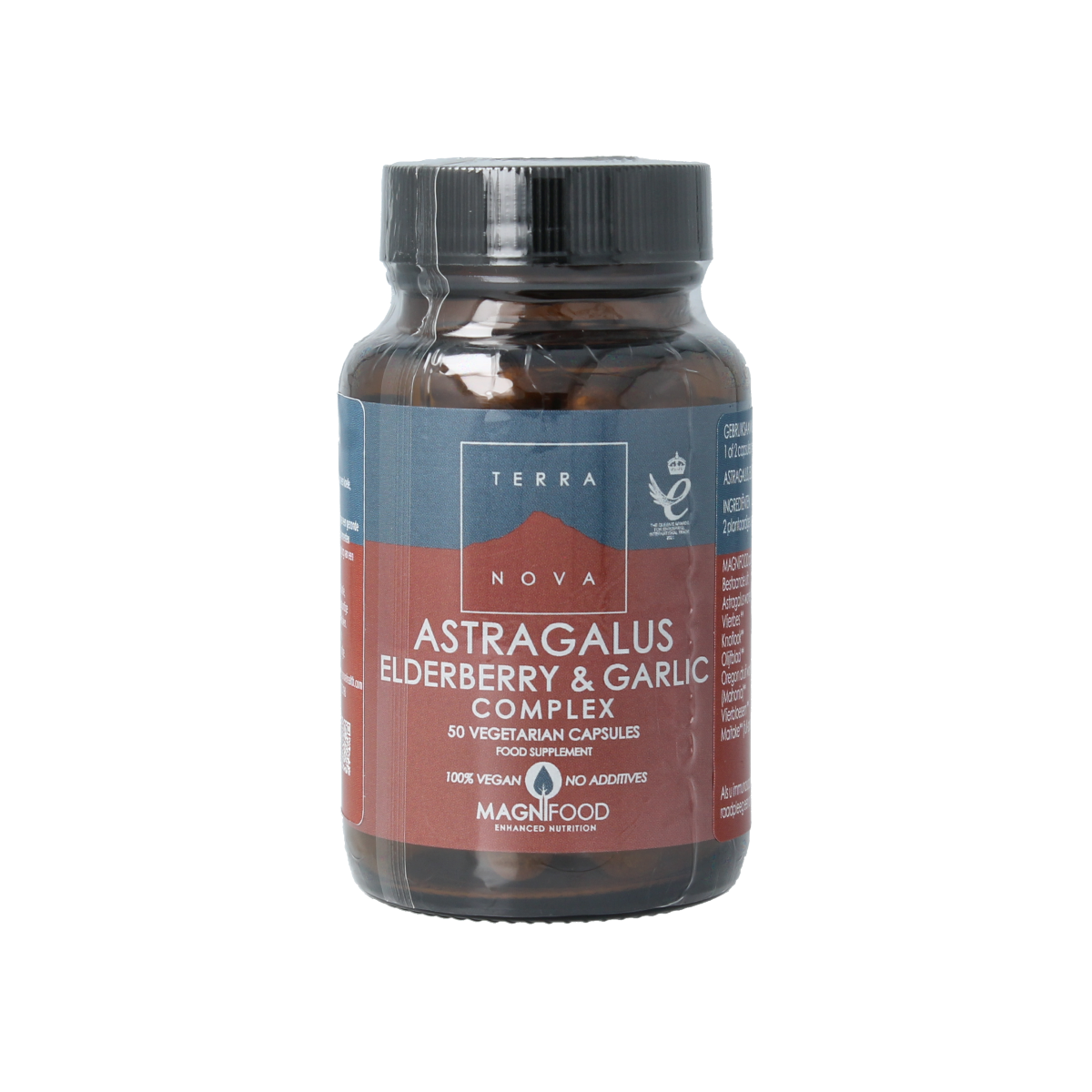 Terranova Astragalus elderberry & garlic complex 50.00 Vegetarische capsules
