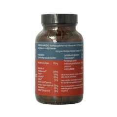 Terranova Astragalus elderberry & garlic complex 100 Vegetarische capsules