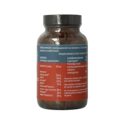 Terranova Astragalus elderberry & garlic complex 100.00 Vegetarische capsules