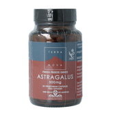 Terranova Astragalus 500mg 50.00 Vegetarische capsules